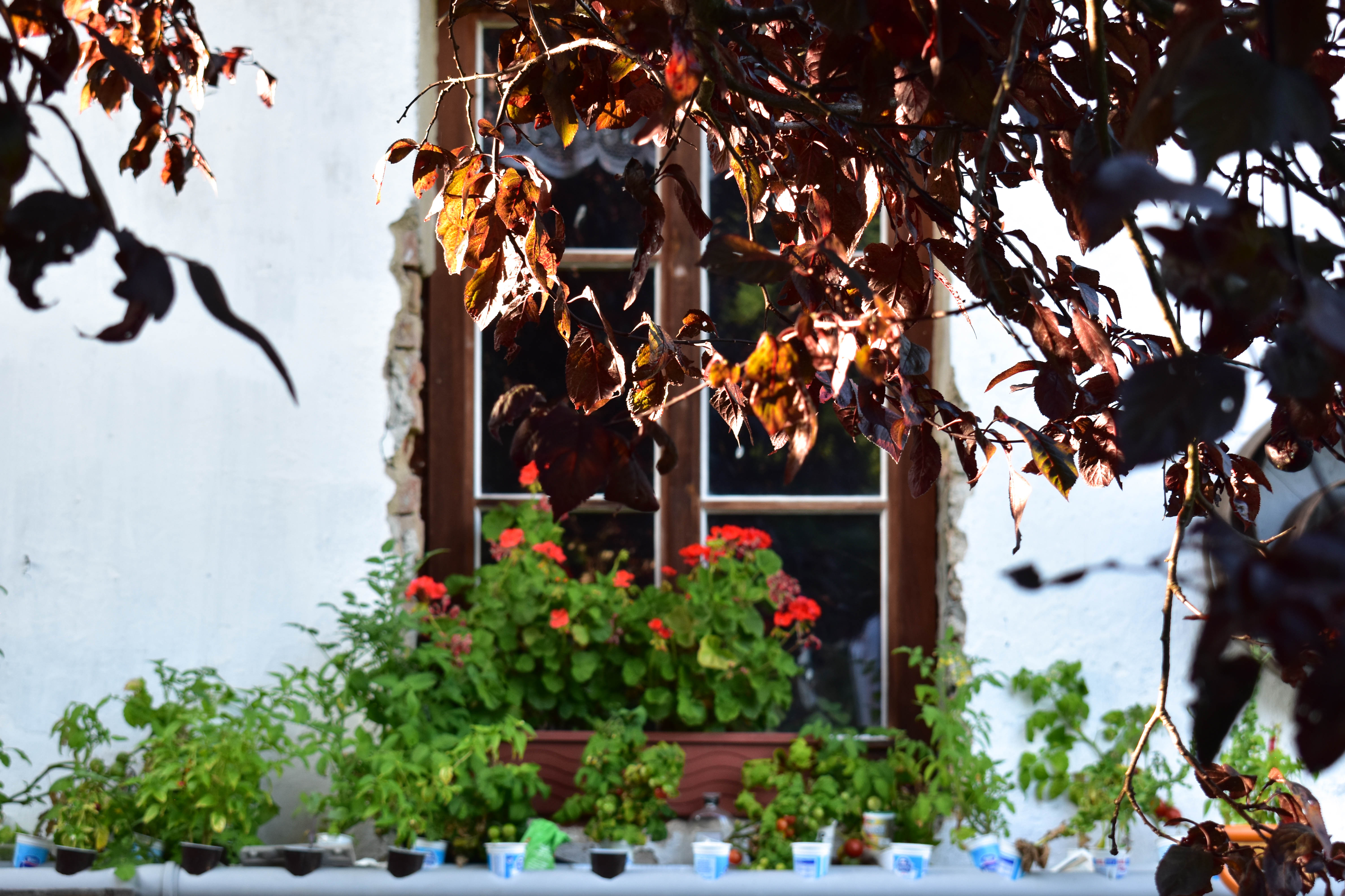 Na návštěvě u Lenky Limové