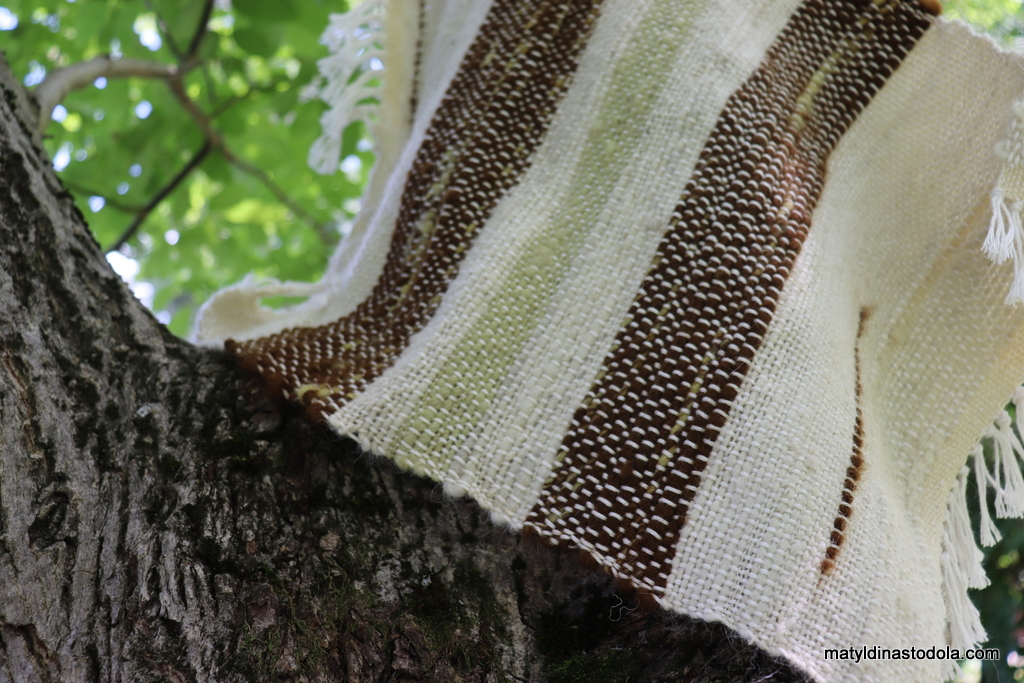 Další velký letní kurz zpracování vlny za námi